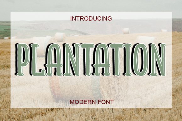 Plantation: A Fun and Friendly Display Font for Modern Web Design